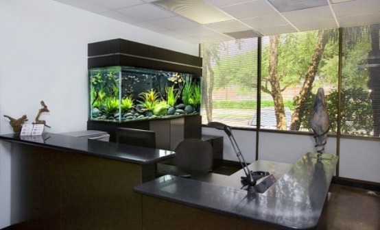 an office space done with an aquarium as a decor feature for a more natural touch to the space