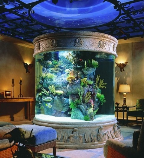 a refined and bold living room with an oversized round aquarium clad in stone that is instead of a TV and brings peace and comfort here
