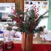 Aromatic Cinnamon Decor Ideas For Christmas