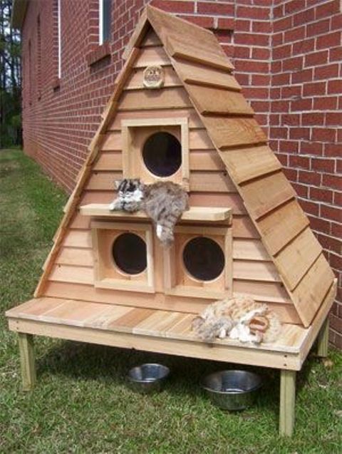 Awesome Creative Pet Homes For Any Type Of Interior