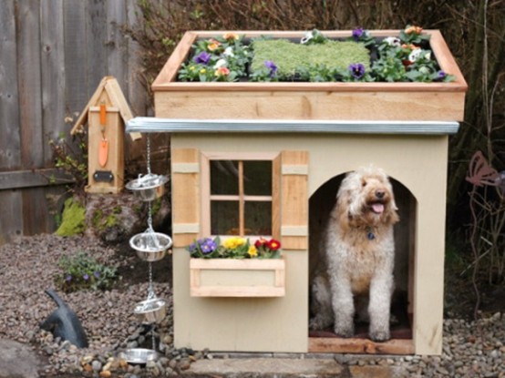 Awesome Creative Pet Homes For Any Type Of Interior