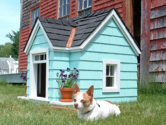 Awesome Creative Pet Homes For Any Type Of Interior