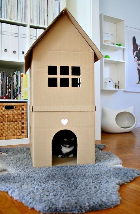 Awesome Creative Pet Homes For Any Type Of Interior