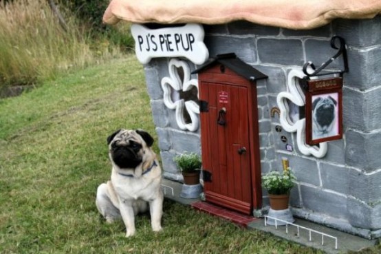 Awesome Creative Pet Homes For Any Type Of Interior