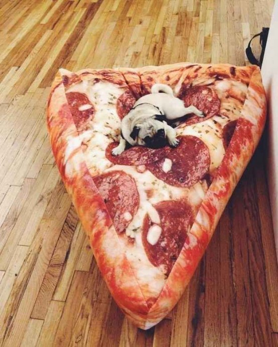 a fun and cool dog bed styled as a slice of pizza is a gorgeous idea for a modern home with a touch of humor and is very soft