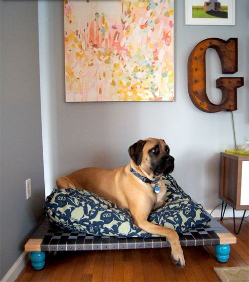 a very simple woven dog bed on colorful legs and with a bold printed cushion is a cool solution for many spaces, especially for modern and boho ones