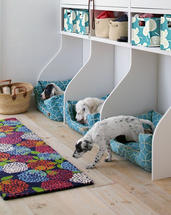 an open shelf storage unit with low compartments taken by matching dog beds is a very cute idea that makes them look like they are kids
