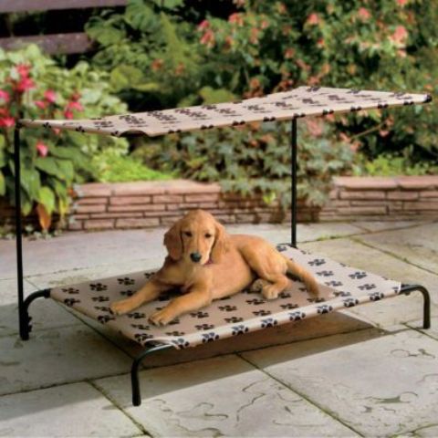 a dog bed with a tent over it is a stylish idea for outdoors, your dog will feel comfortable with such a sunlight screen