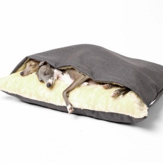 a cozy and inviting envelope dog bed is a lovely idea for them to hide and have their own space or sleep together in warmth