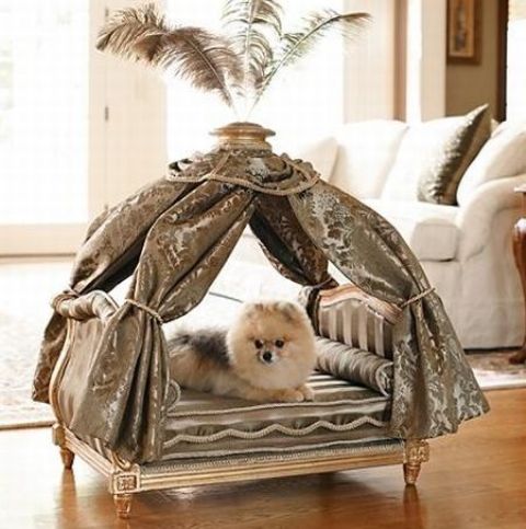 36 Awesome Dog Beds For Indoors And Outdoors - DigsDigs