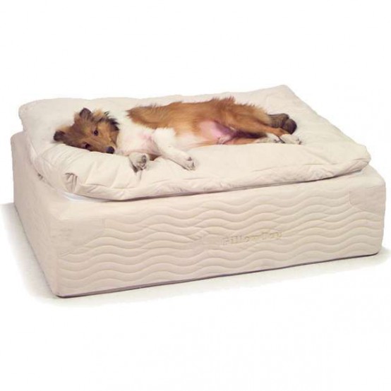 36 Awesome Dog Beds For Indoors And Outdoors - DigsDigs