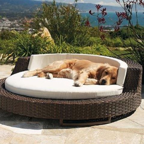a round wicker bed with a rounded cushion is a copy of a human outdoor lounger and is a great and stylish idea for your space