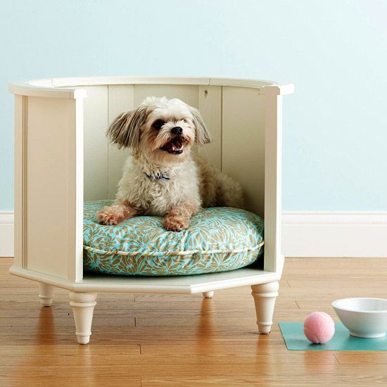 a small white rounded bed with tall walls and a colorful cushion is a quirky and catchy idea for your pet