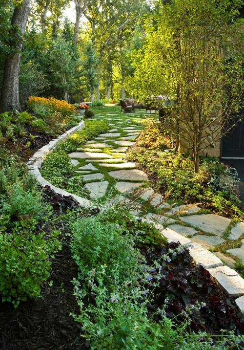 an irregular stone garden path with borders and grass and greenery growing in between the step stones
