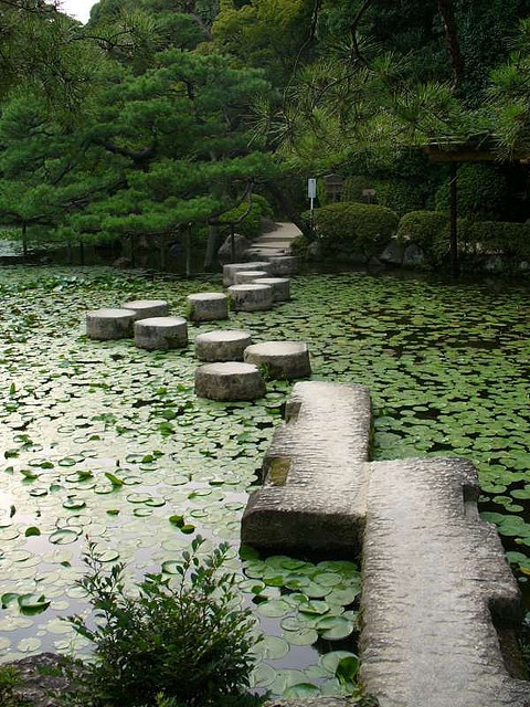 a zen garden path made of sleek and circle stones right in the pond looks spectacular and cool