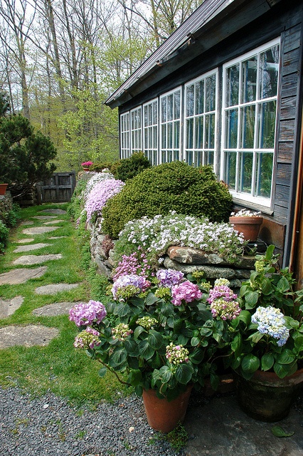 a rustic and natural garden path of stones and grass growing in between plus some pebbles