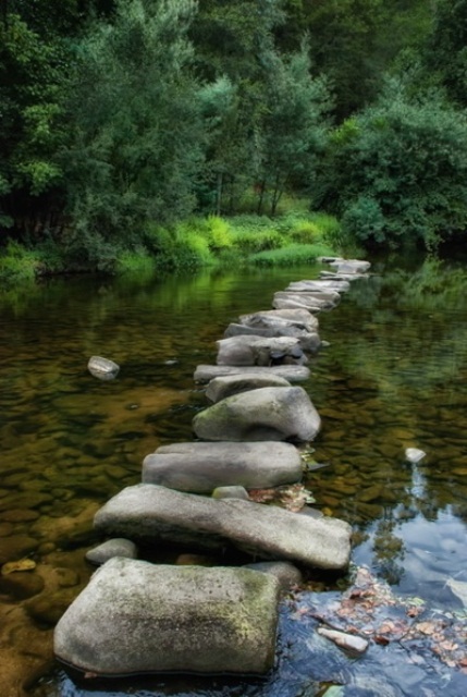 a large stone garden path created right in the water feature - even if you don't use it, it's very catchy