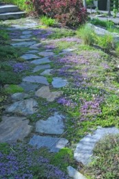 a stone path with greenery and bright pink blooms growing in between, they refresh and brighten up the garden