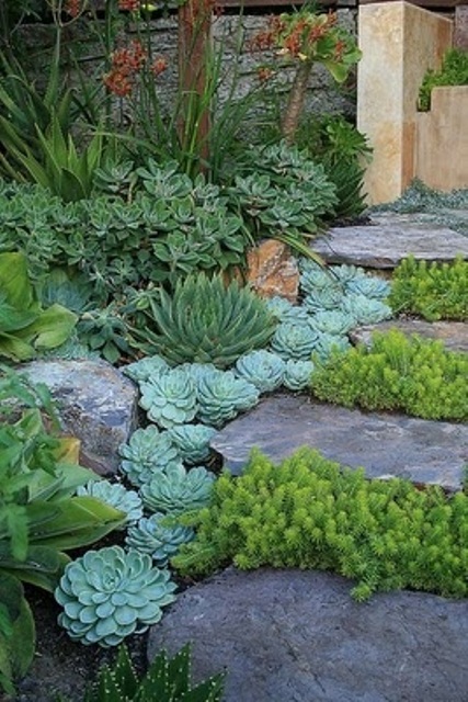 a large stone ladder with succulents on the border and greenery growing in between the steps