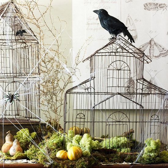 stylish Halloween decor with cages and blackbirds, spiders and spiderwebs, moss, pumpkins and pears