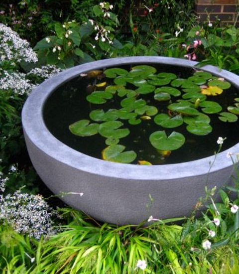 an oversized concrete bowl with floating water lilies placed in your backyard will give it a very modern and fresh touch