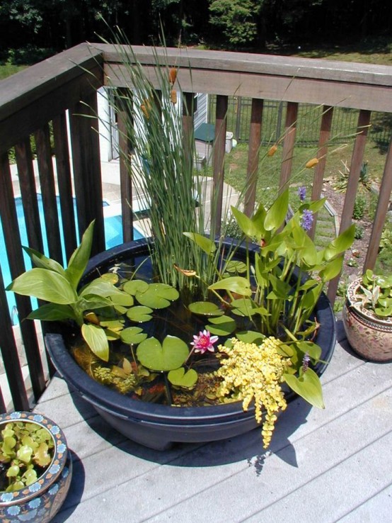 a mini pond ina  dark plastic tub, with greenery, cane and some bright blooms floating on the water surface