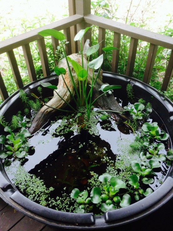 56 Awesome Mini Ponds To Complete Your Outdoor Décor DigsDigs
