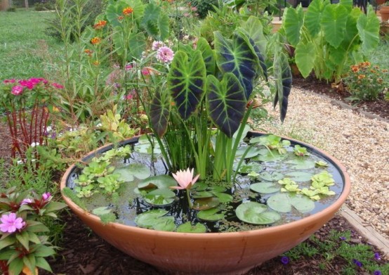 a porcelain bowl with water plants is a nice mini pond idea suitable for your outdoor space
