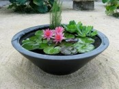 a black porcelain cone-shaped mini pond with floating plants and some blooms for outdoor decor