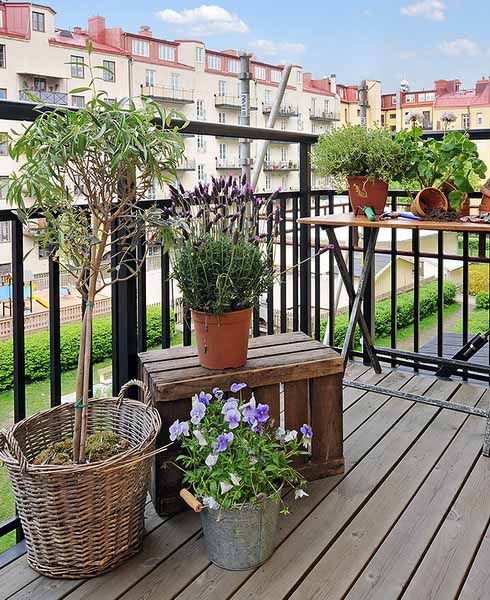 potted greenery and blooms are all you need to turn your balcony into a fresh spring-filled space