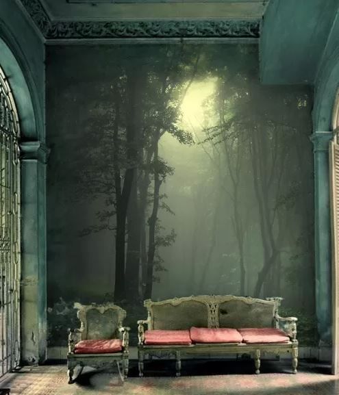 a refined space with chic furniture and a moody woodland wall mural that creates an ambience