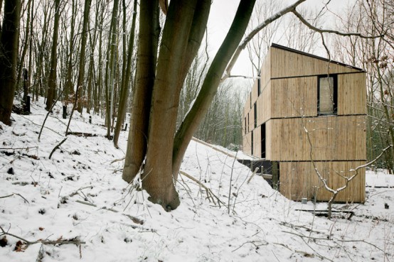 Bamboo Clad House With Energy Efficient Solutions