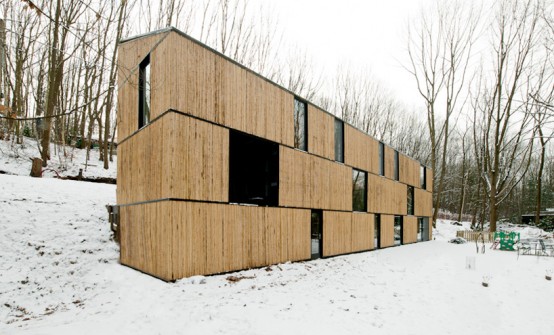 Bamboo Clad House With Energy Efficient Solutions