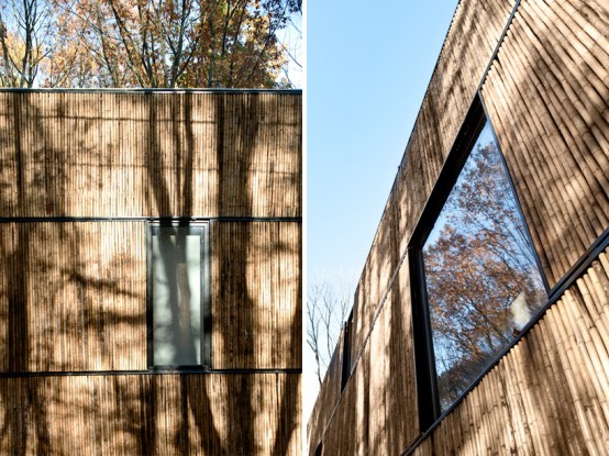 Bamboo Clad House With Energy Efficient Solutions