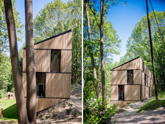 Bamboo Clad House With Energy Efficient Solutions