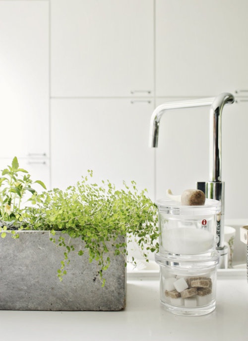 a concrete planter with greenery will be a nice idea for any bathroom, it's veyr durable and very stylish and will add a contemporary touch to the space