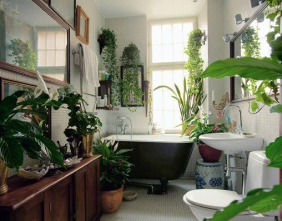 a neutral boho bathroom decorated with lots of potted greenery and succulents here and there feels like an orangery