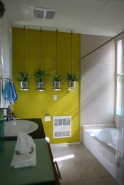 a contemporary bathroom with a neon mustard wall and some suspended bucket planters with succulents that make a statement in the space