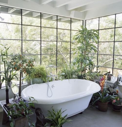 a bathroom with glazed walls and lots of potted plants and greenery around to feel like you are taking a bath outside