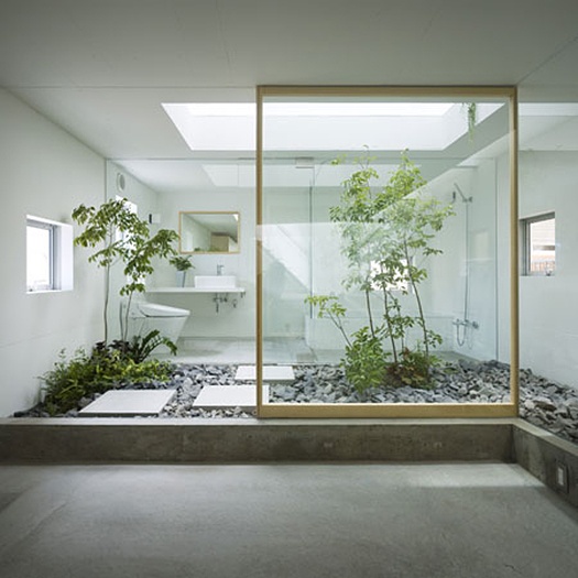 a minimalist white bathroom with a large skylight and trees growing right in the pebbles for a natural look