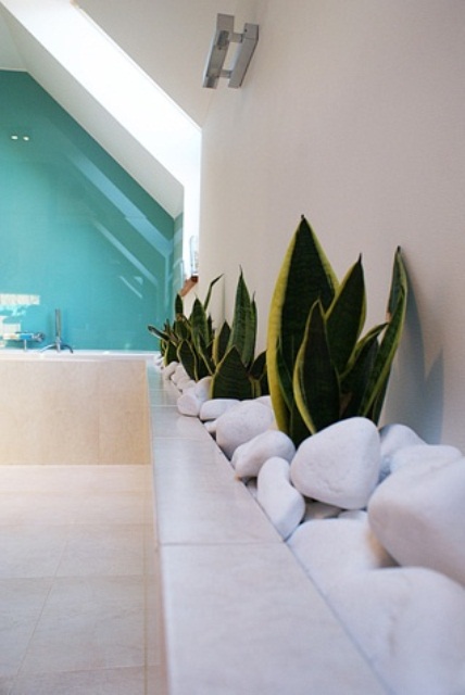 succulents planted along the wall and covered with white pebbles for a chic look make the bathroom a real spa