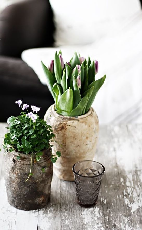 Beautiful Greenery Home Decor Ideas