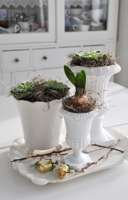 Beautiful Greenery Home Decor Ideas
