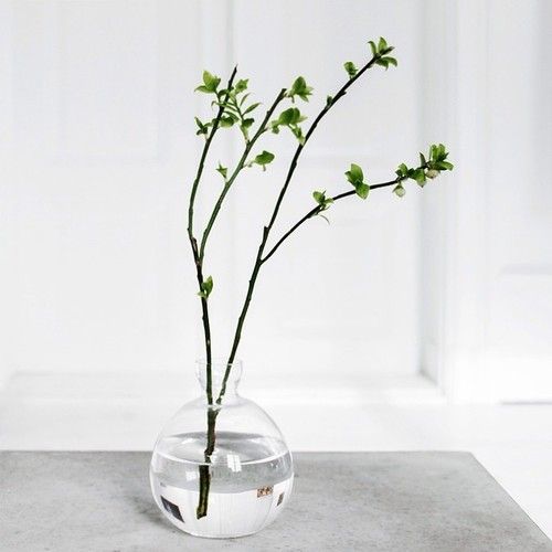 Beautiful Greenery Home Decor Ideas
