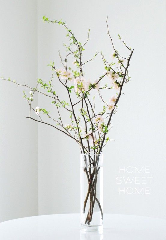 Beautiful Greenery Home Decor Ideas