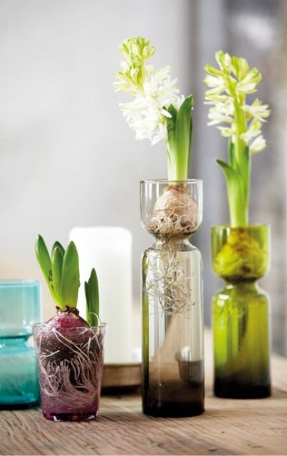 Beautiful Greenery Home Decor Ideas