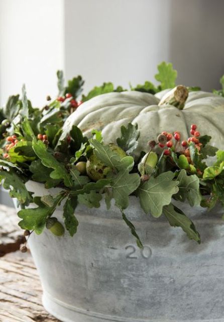 a galvanized bucket with greenery and berries and a large heirloom pumpkin for a rustic touch in your space