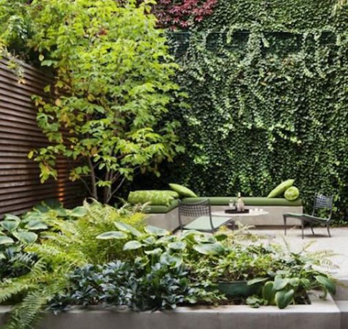 a contemporary townhouse garden with stone and concrete, potted greenery and living walls plus a tree