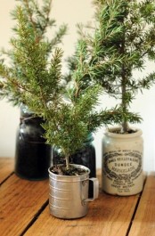 small fir twigs look gorgeous in vintage buckets and jugs even without ornaments