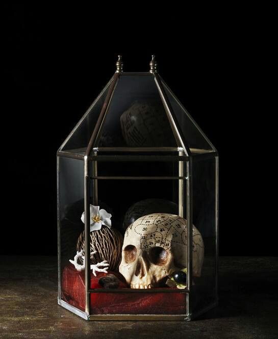 a lovely vintage Halloween decoration of a large candle lantern with a skull, vine balls, blooms and antlers is a cool idea with a refined feel